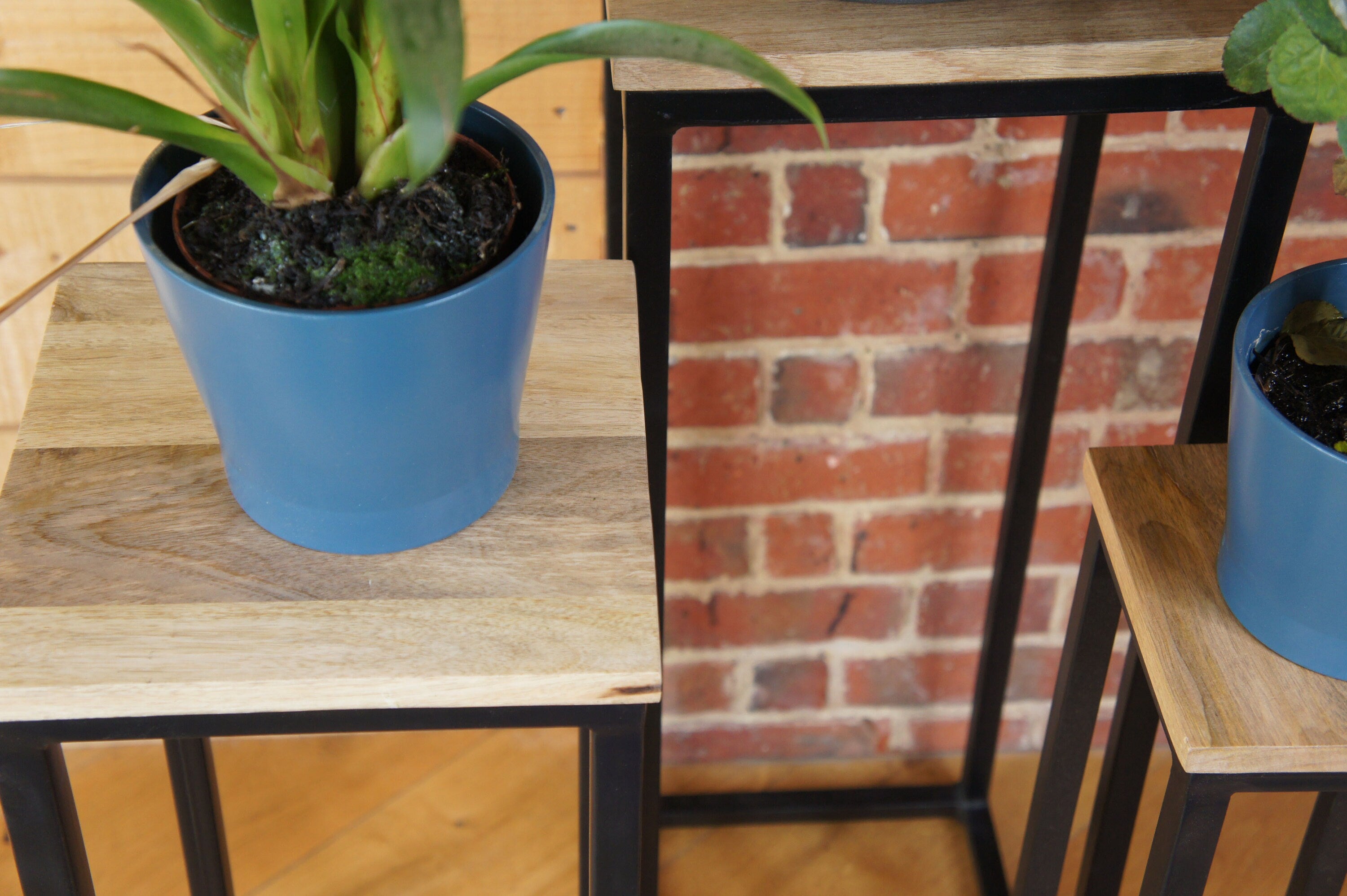 Nest set 3 plant stand mango wood black iron