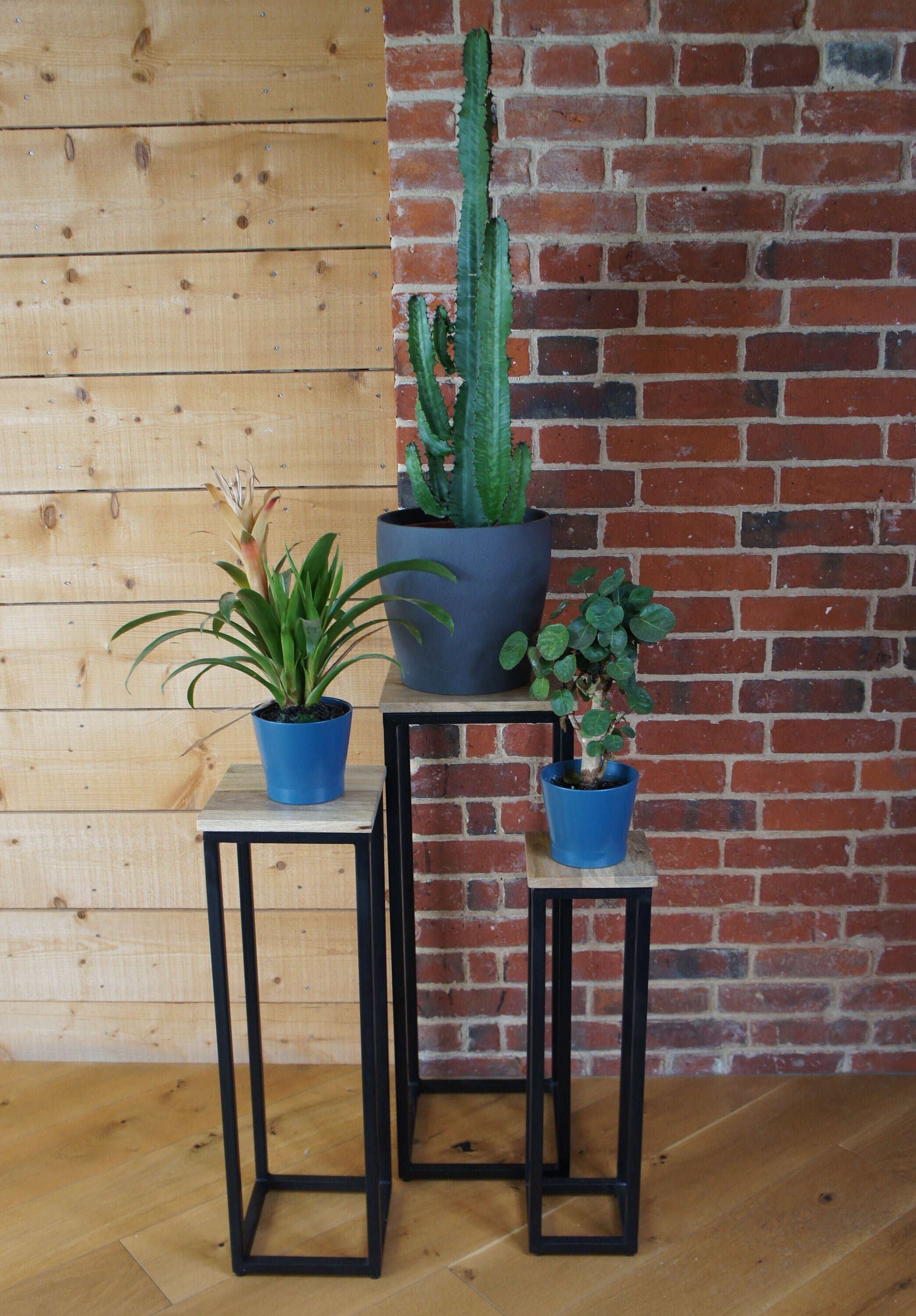 Nest set 3 plant stand mango wood black iron