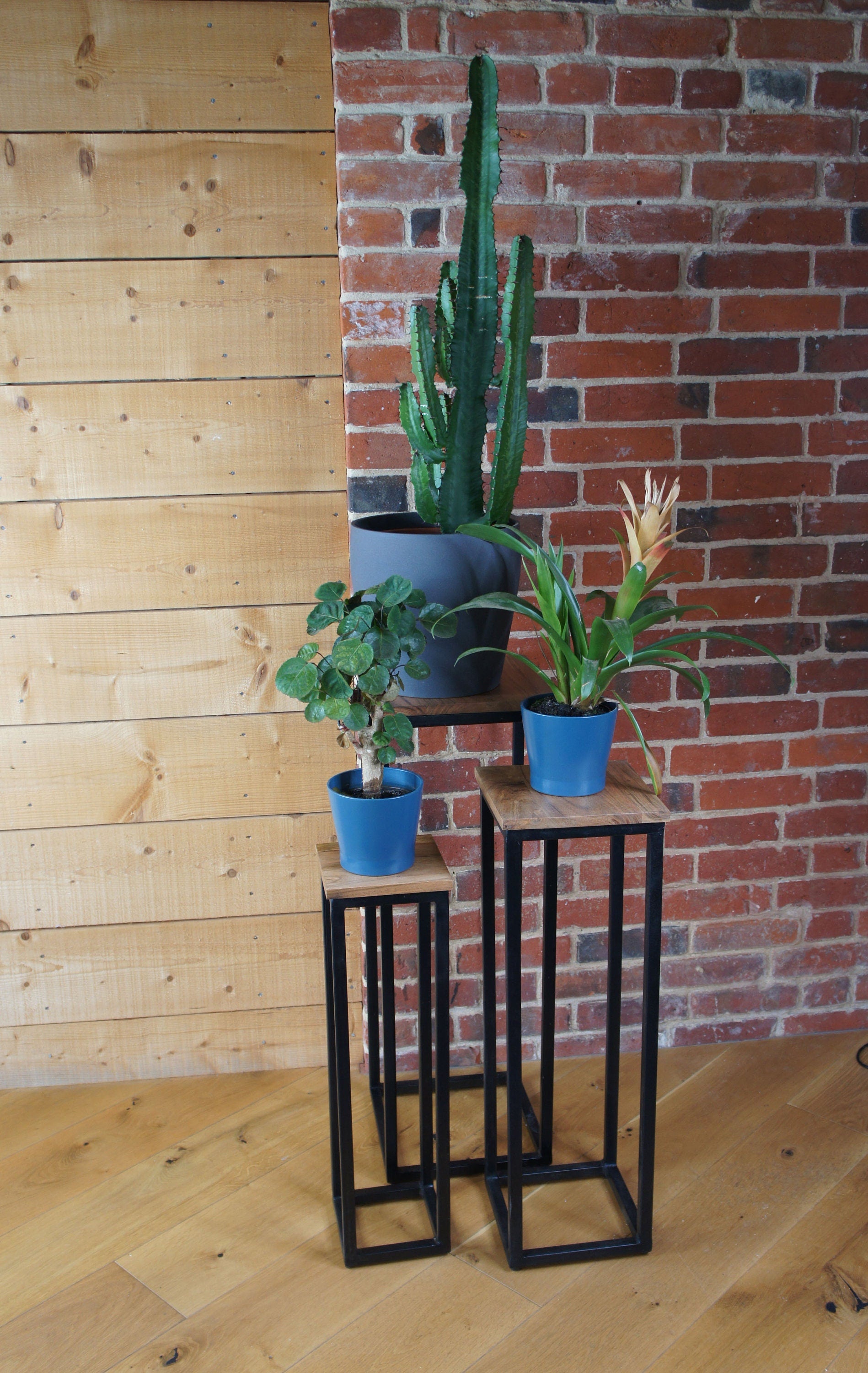 Nest of 3 Plant stands Acacia wood on black iron